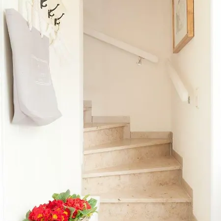 Traumzeit Tatil Evi *